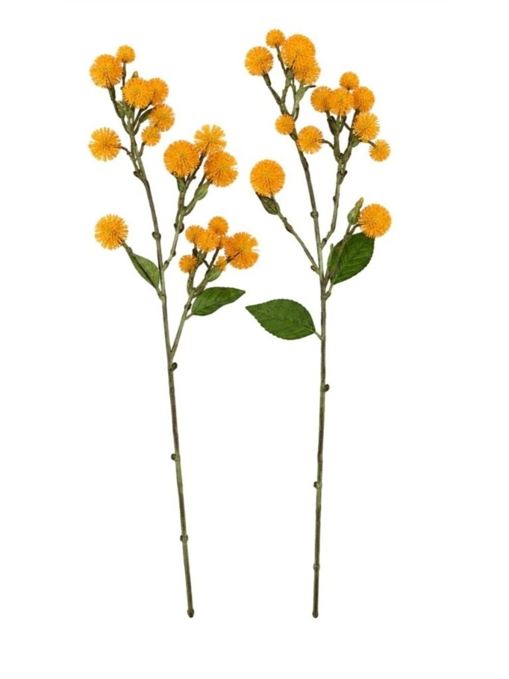 Yellow Thistle Stems Set of 2 20 Inch Artificial Wildflower Mustard